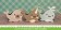 LF Narwhal and Friends