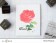 ATN Painted Rose Stamp Set